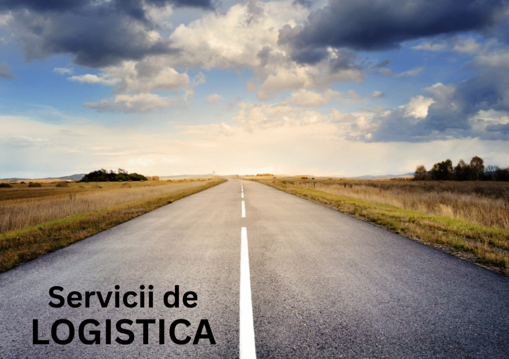 LOGISTICA-scris